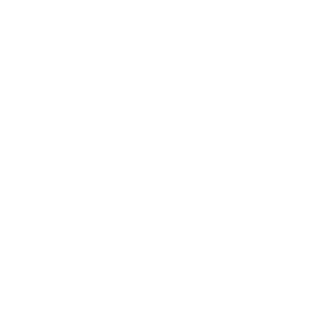Digital Music Romania Logo